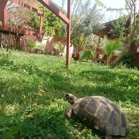 Sera Konukevi Çıralı