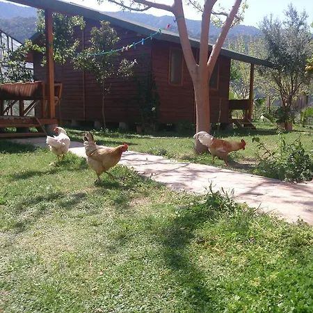 Vendégház Sera Çıralı