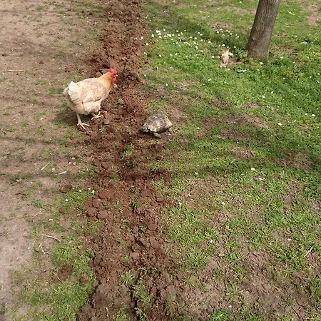 Sera Vendégház *